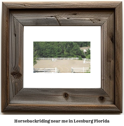 horseback riding near me in Leesburg, Florida